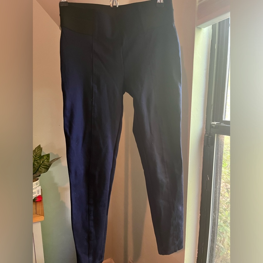 Ann Taylor factory dress pants